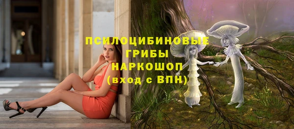 эйфоретик Новодвинск