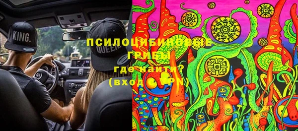 эйфоретик Новодвинск